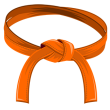 3rd: Orange Belt